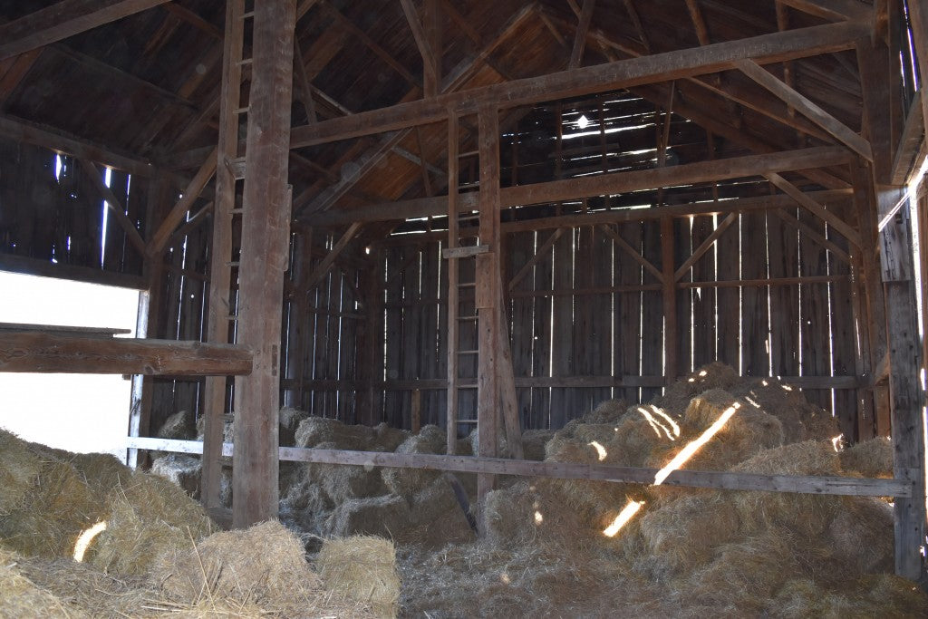 Northern New England Barn - My Store
