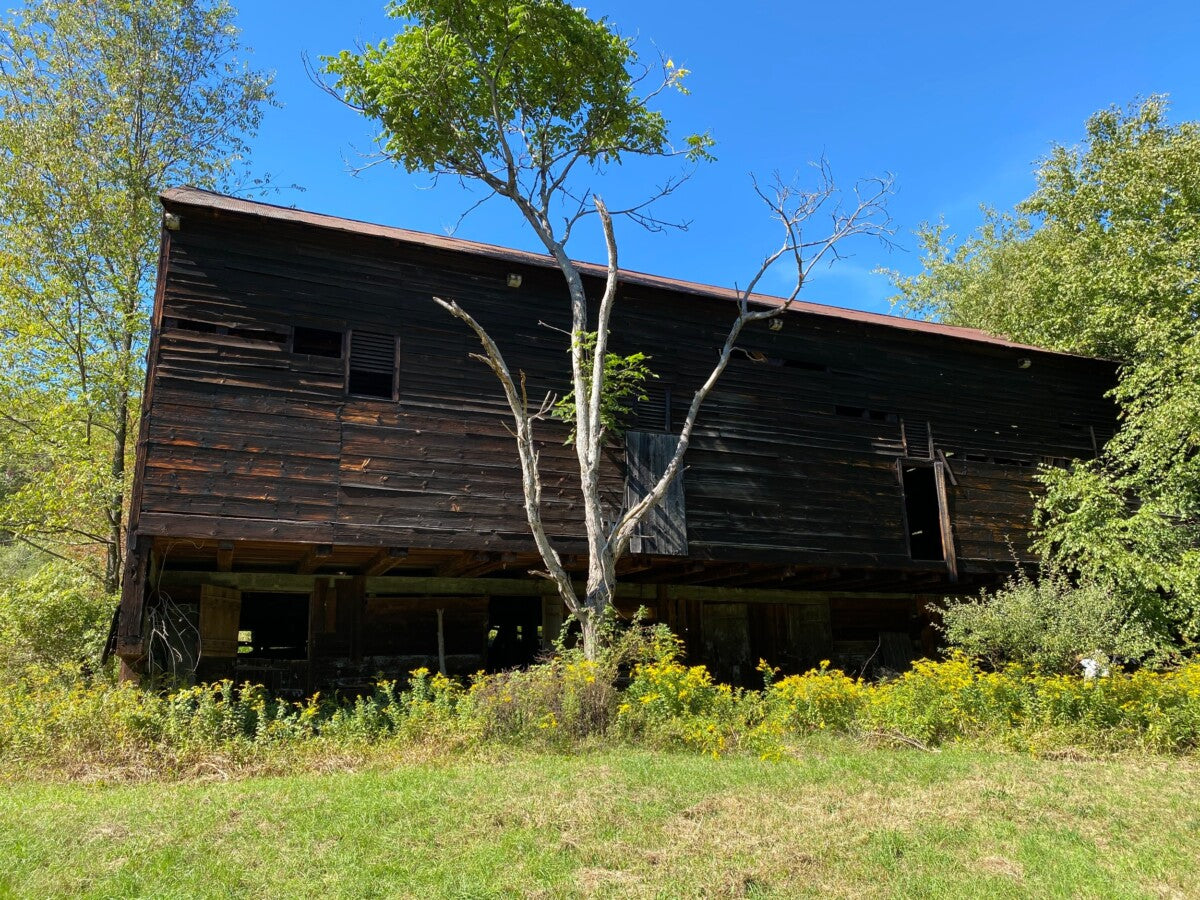 Half Closed Fore Bay Barn with front Ells - My Store
