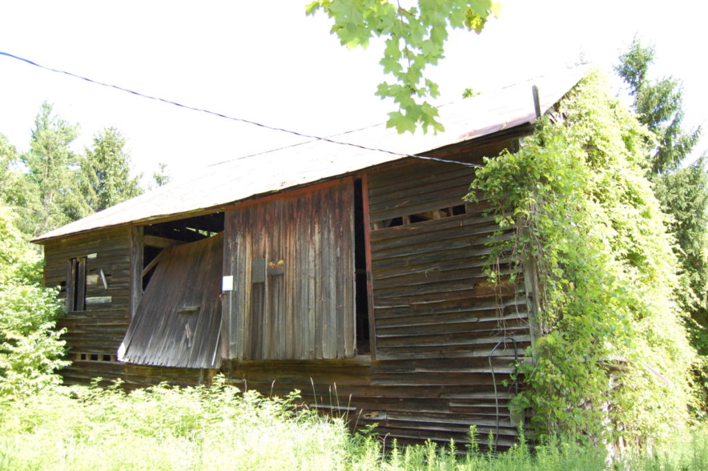 Large Bull Beam Barn - My Store