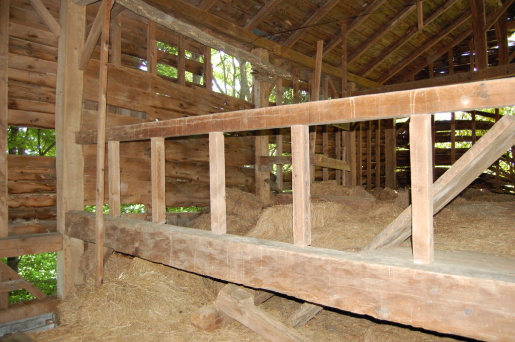 Large Bull Beam Barn - My Store