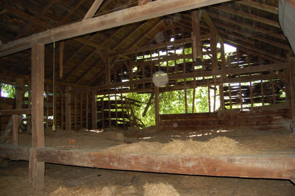 Large Bull Beam Barn - My Store