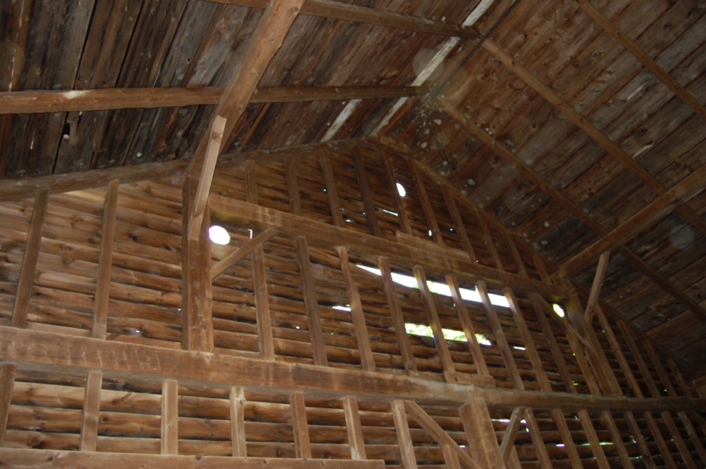 Large Bull Beam Barn - My Store