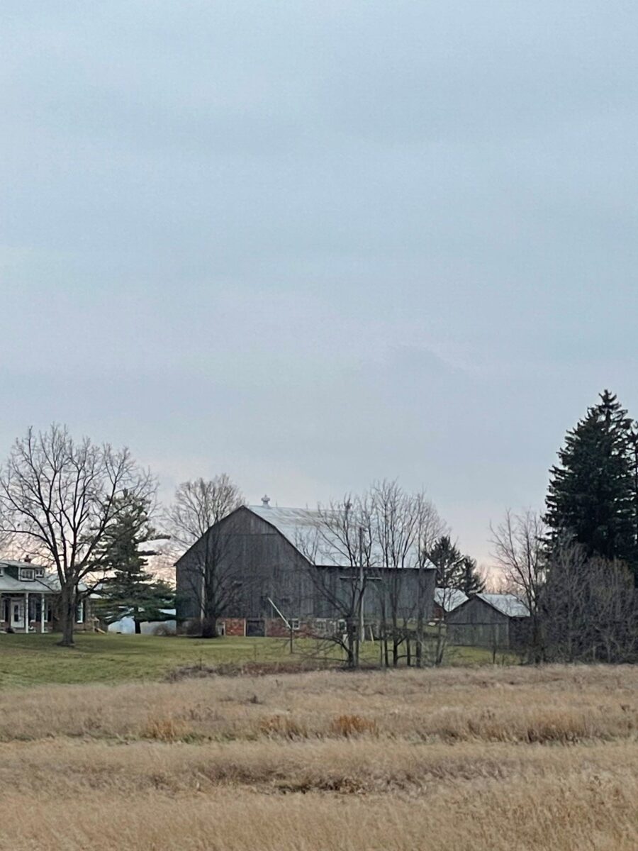 54 x 80 Large Gambrel - My Store