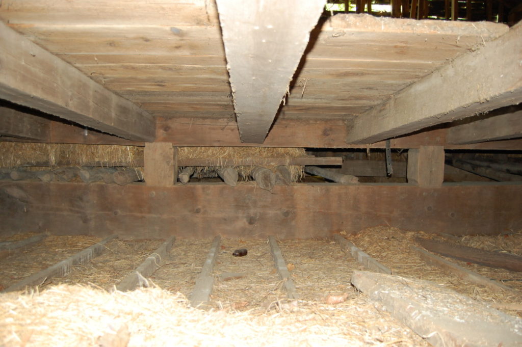 Large Bull Beam Barn - My Store