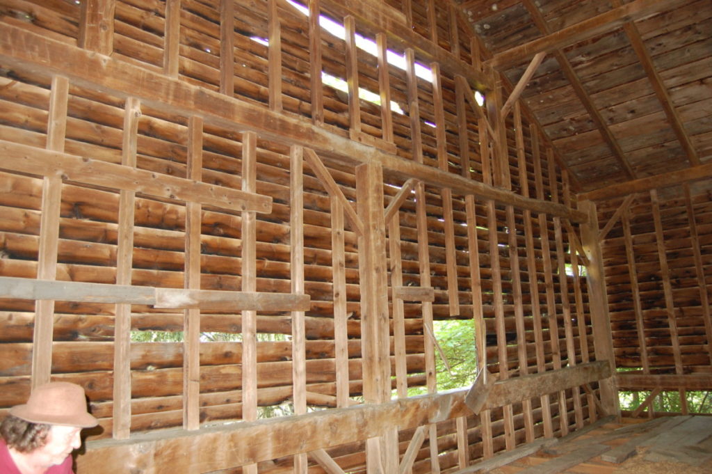 Large Bull Beam Barn - My Store