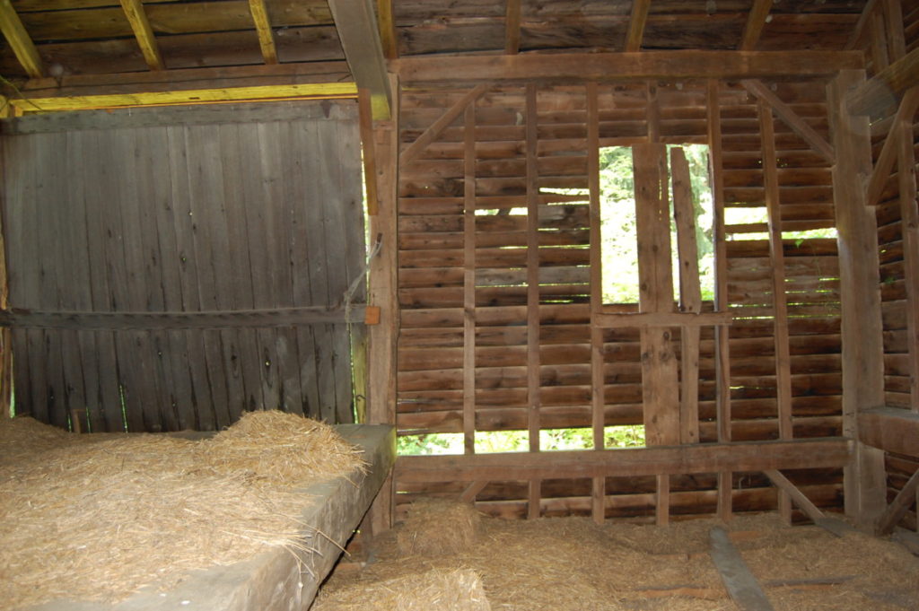 Large Bull Beam Barn - My Store