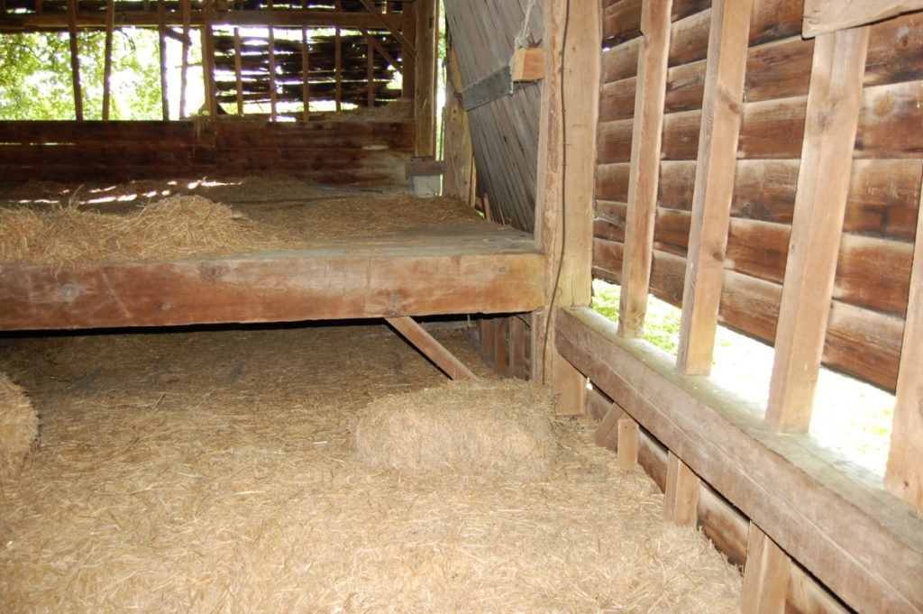 Large Bull Beam Barn - My Store